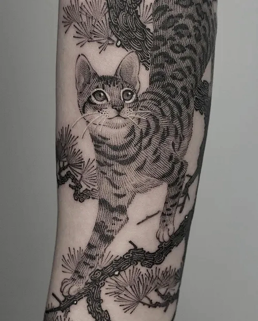 Gatto illustrativo